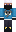skin of a player