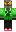 skin of a player
