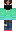 skin of a player