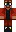 skin of a player