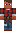 skin of a player