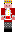 skin of a player