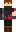 skin of a player