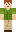 skin of a player
