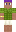 skin of a player
