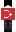 skin of a player