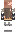 skin of a player