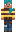 skin of a player
