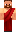skin of a player
