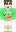 skin of a player