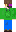 skin of a player