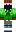 skin of a player