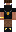 skin of a player