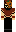 skin of a player