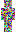 skin of a player