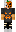 skin of a player