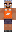 skin of a player