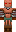 skin of a player