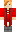 skin of a player