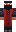 skin of a player
