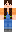 skin of a player