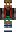 skin of a player