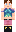skin of a player