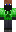 skin of a player