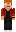 skin of a player