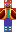 skin of a player