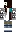 skin of a player