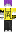 skin of a player