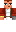 skin of a player