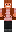 skin of a player