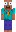 skin of a player