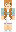 skin of a player