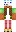 skin of a player
