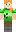 skin of a player