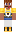 skin of a player