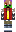 skin of a player