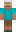 skin of a player