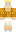 skin of a player