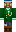 skin of a player