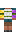 skin of a player