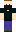 skin of a player