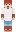 skin of a player