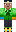 skin of a player