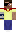 skin of a player