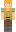 skin of a player