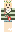 skin of a player